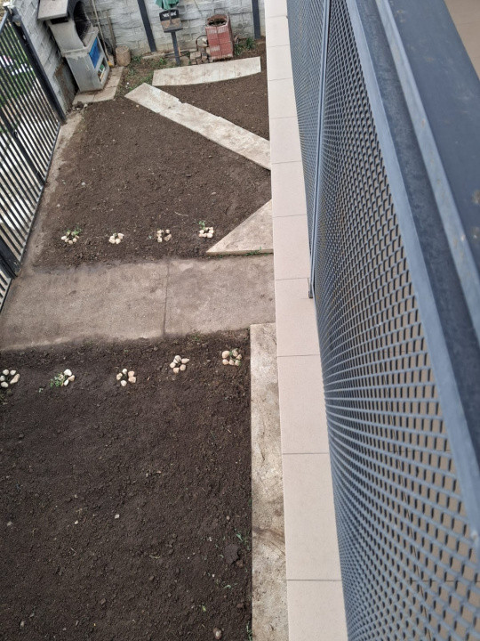 Casa de inchiriat in Bragadiru