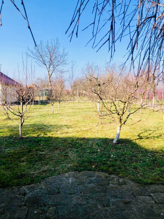 Casă spațioasă de vânzare în Roman cartier Nicolae Bălcescu, 350 mp, teren 12