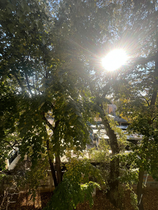 👉 garsoniera | de vanzare | Floreasca ✅