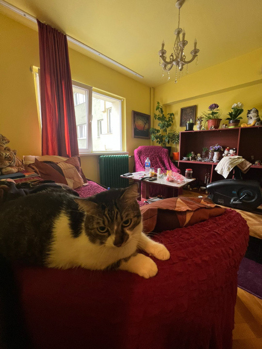 Apartament 2 camere | Doamna Ghica | OPORTUNITATE INVESTITIE