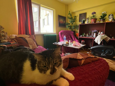 Apartament 2 camere | Doamna Ghica | OPORTUNITATE INVESTITIE