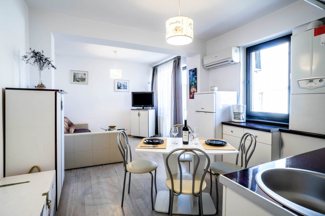 Inchiriere apartament 2 camere Iancului Matei Voievod | Pet Friendly