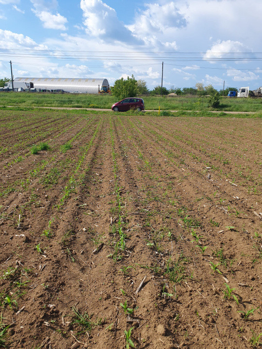 TEREN INTRAVILAN - MOARA VLASIEI