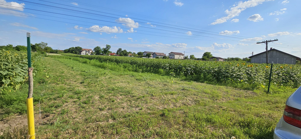 TEREN INTRAVILAN - MOARA VLASIEI