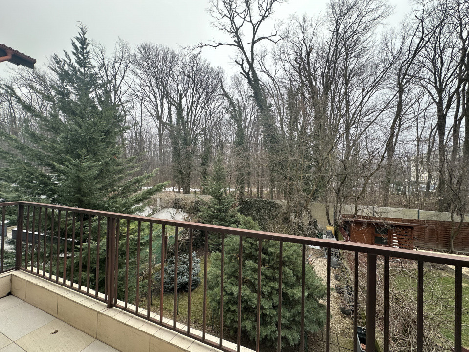 Proprietate premium la liziera Pădurii Băneasa | Sector 1