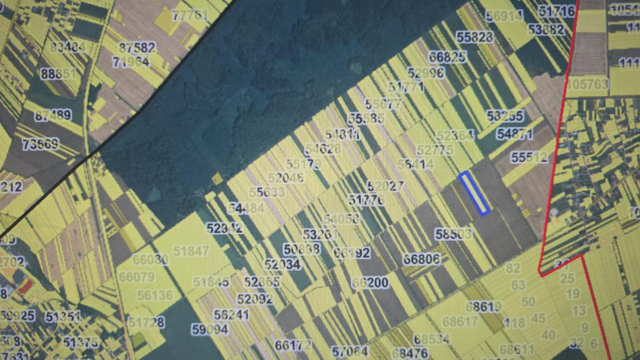 Teren Arabil 1.7 Ha – Localizare Strategică între Buftea și Corbeanca