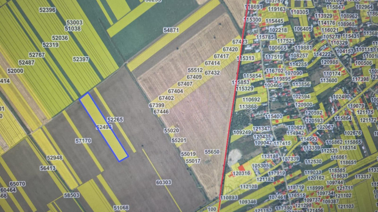 Teren Arabil 1.7 Ha – Localizare Strategică între Buftea și Corbeanca