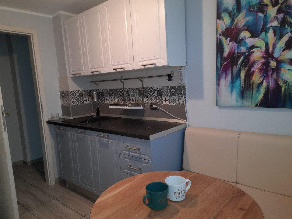 Închiriere apartament 3 camere – Vedere la Parcul Circului, Lacul Tei