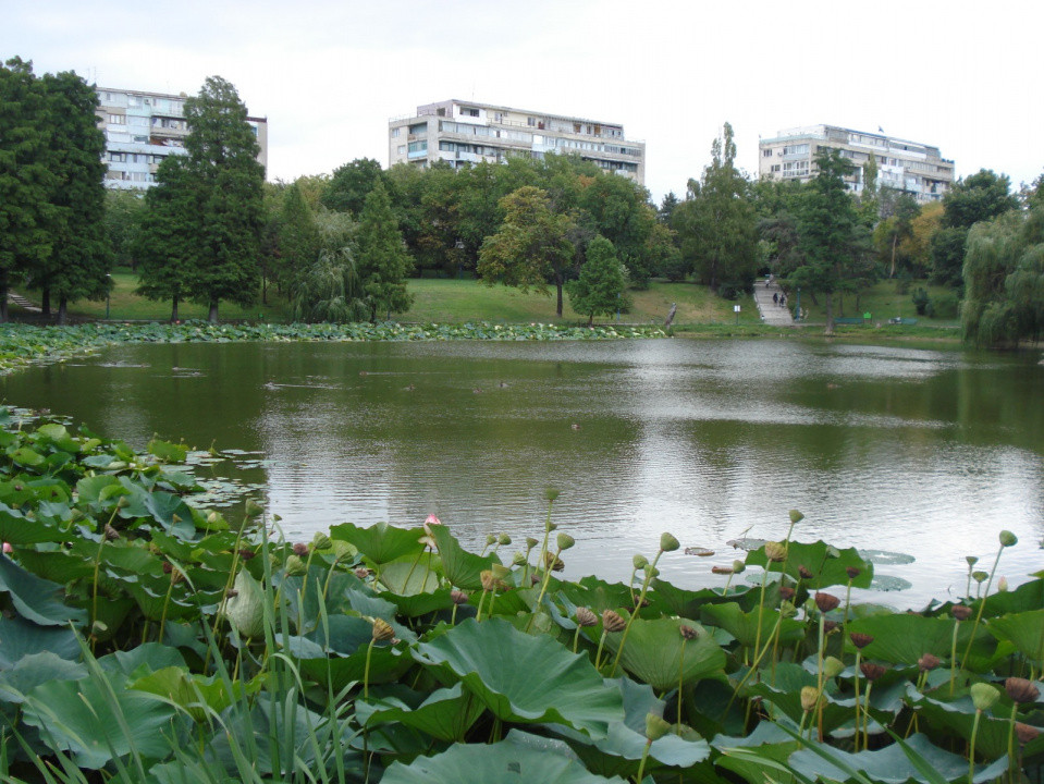 Închiriere apartament 3 camere – Vedere la Parcul Circului, Lacul Tei