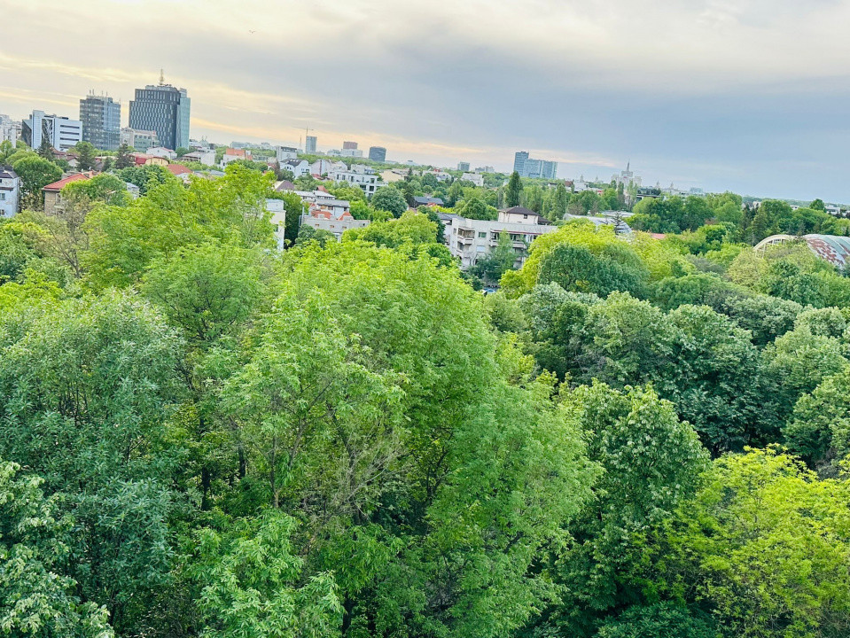 3 Camere Floreasca – Vedere Panoramică și Acces Direct în Parc
