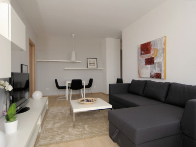 Apartament 2 camere, bucătărie închisă - Băneasa - Privighetorilor Residence 