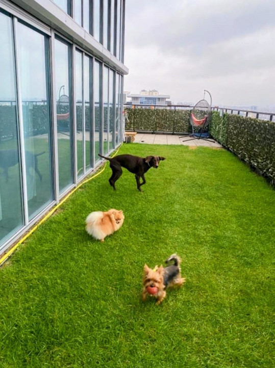 Penthouse spectaculos cu terasa, sala, sauna in interior