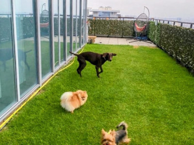 Penthouse spectaculos cu terasa, sala, sauna in interior