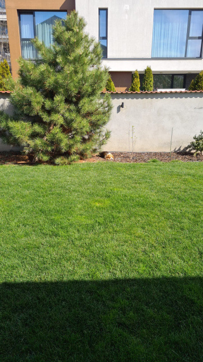 VILĂ PREMIUM | BĂNEASA - JOLIE VILLE | POMPĂ CĂLDURĂ | STRADĂ PRIVATĂ