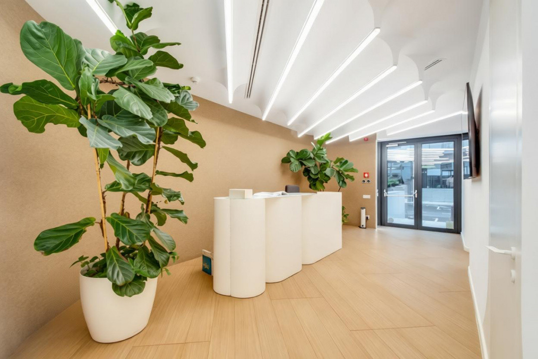 Închiriere spațiu office premium – Cortina North | 356 mp | 6 locuri parcare inc