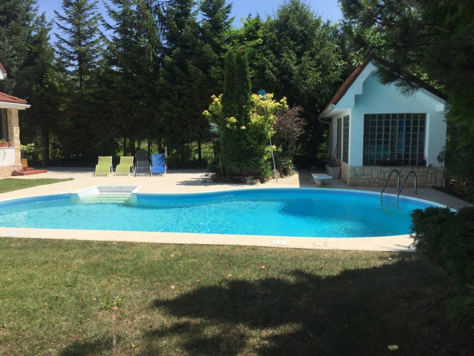 Vilă de Lux Erou Iancu Nicolae | Piscină & 1200 mp Grădină