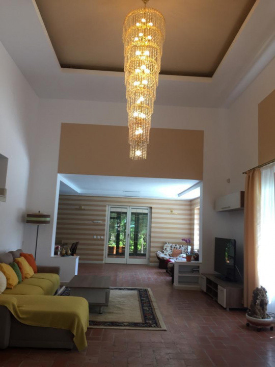 Vilă de Lux Erou Iancu Nicolae | Piscină & 1200 mp Grădină