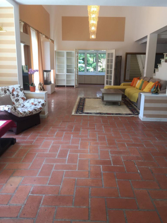 Vilă de Lux Erou Iancu Nicolae | Piscină & 1200 mp Grădină