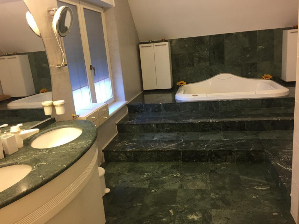 Vilă de Lux Erou Iancu Nicolae | Piscină & 1200 mp Grădină