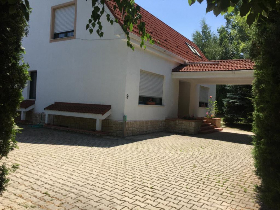 Vilă de Lux Erou Iancu Nicolae | Piscină & 1200 mp Grădină