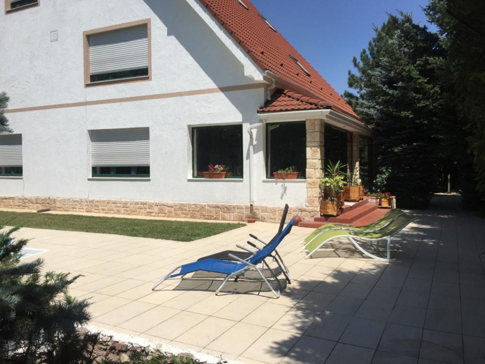 Vilă de Lux Erou Iancu Nicolae | Piscină & 1200 mp Grădină