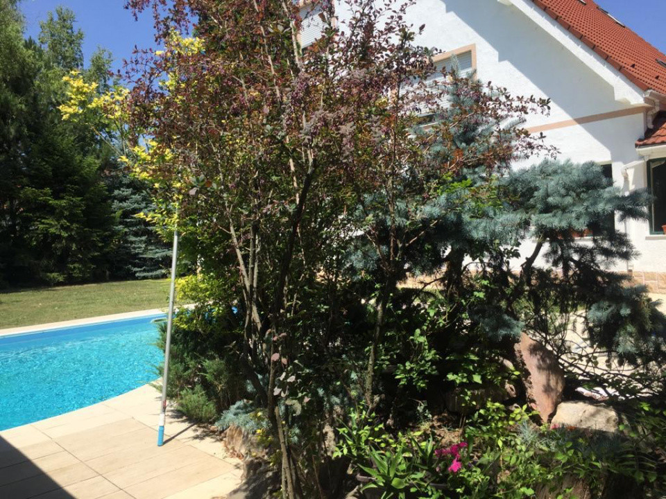 Vilă de Lux Erou Iancu Nicolae | Piscină & 1200 mp Grădină