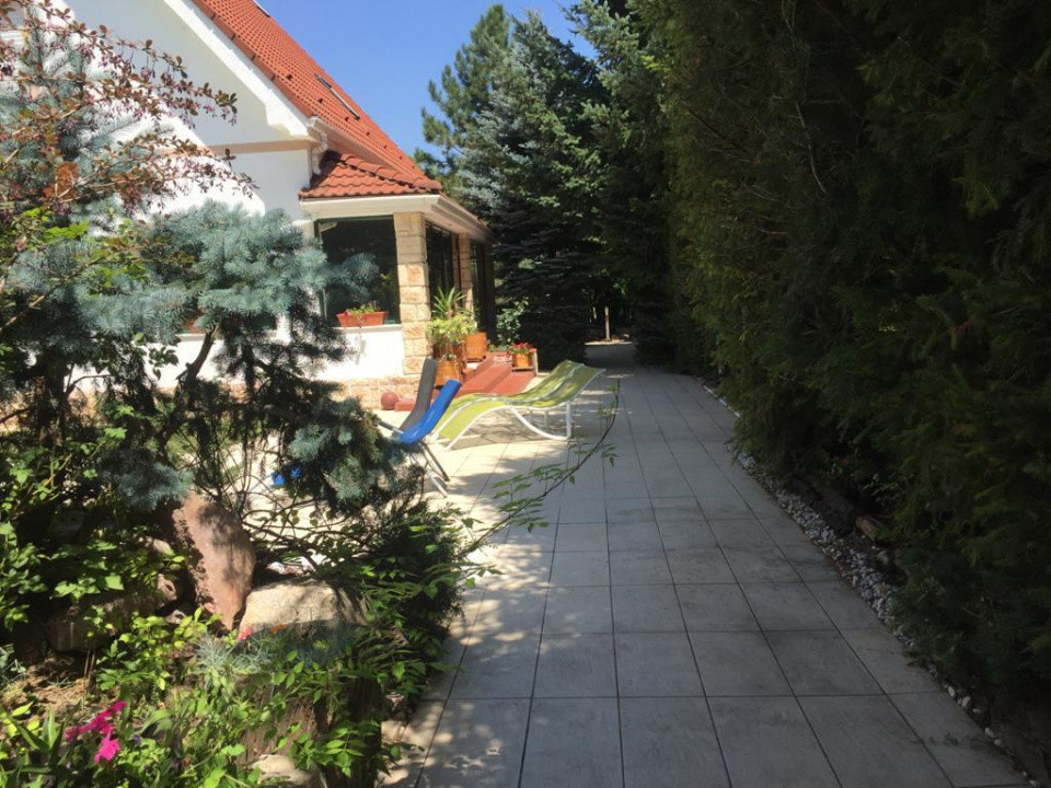 Vilă de Lux Erou Iancu Nicolae | Piscină & 1200 mp Grădină