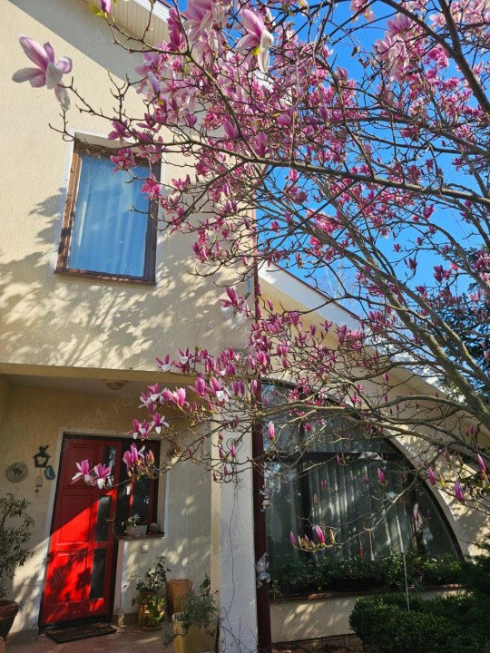 Casa Pipera teren 400 m 