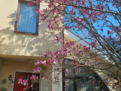 Casa Pipera teren 400 m 