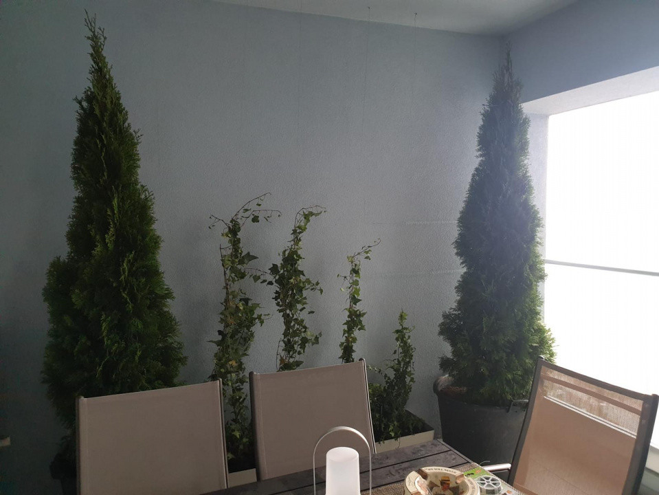 3 camere Metrou Pipera Fabrica Glucoza