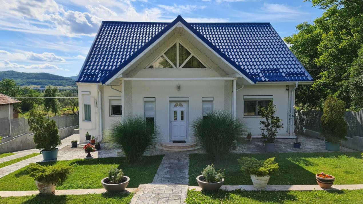 Vila P+1 cu piscina, Curtea de Arges