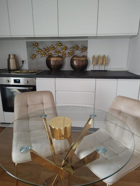 Apartament de inchiriat cu 2 camere in Herastrau Parkview