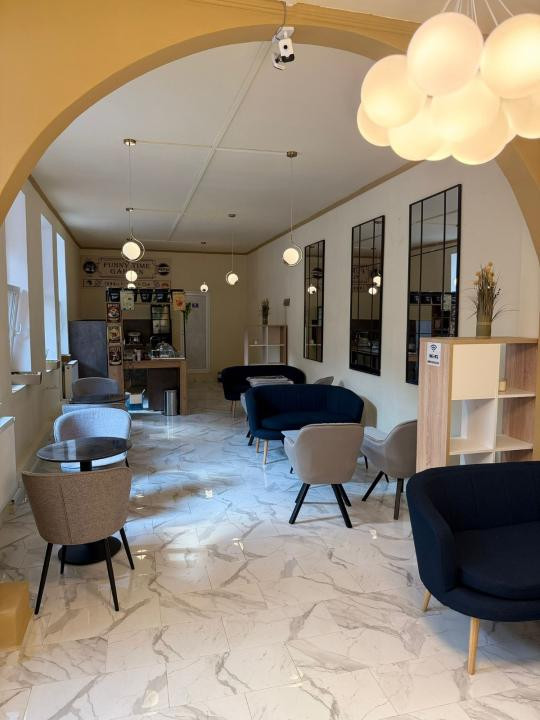 Spatiu comercial 100 mp, 100 mp curte, parter, Horeca, zona Decebal