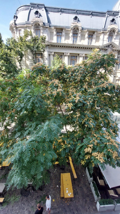Apartament 4 camere, Piața Universității 