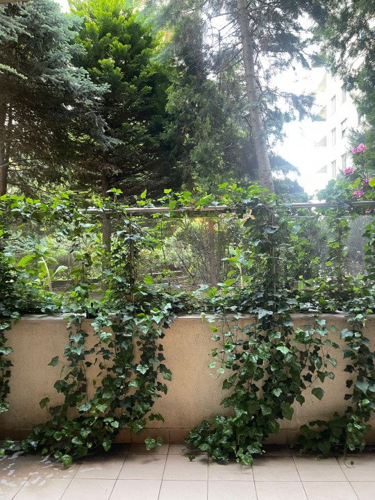  Studio Herăstrău Pet Friendly & Terasă Imensa 