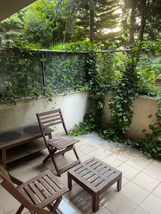  Studio Herăstrău Pet Friendly & Terasă Imensa 