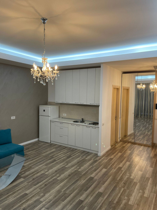  Studio Herăstrău Pet Friendly & Terasă Imensa 