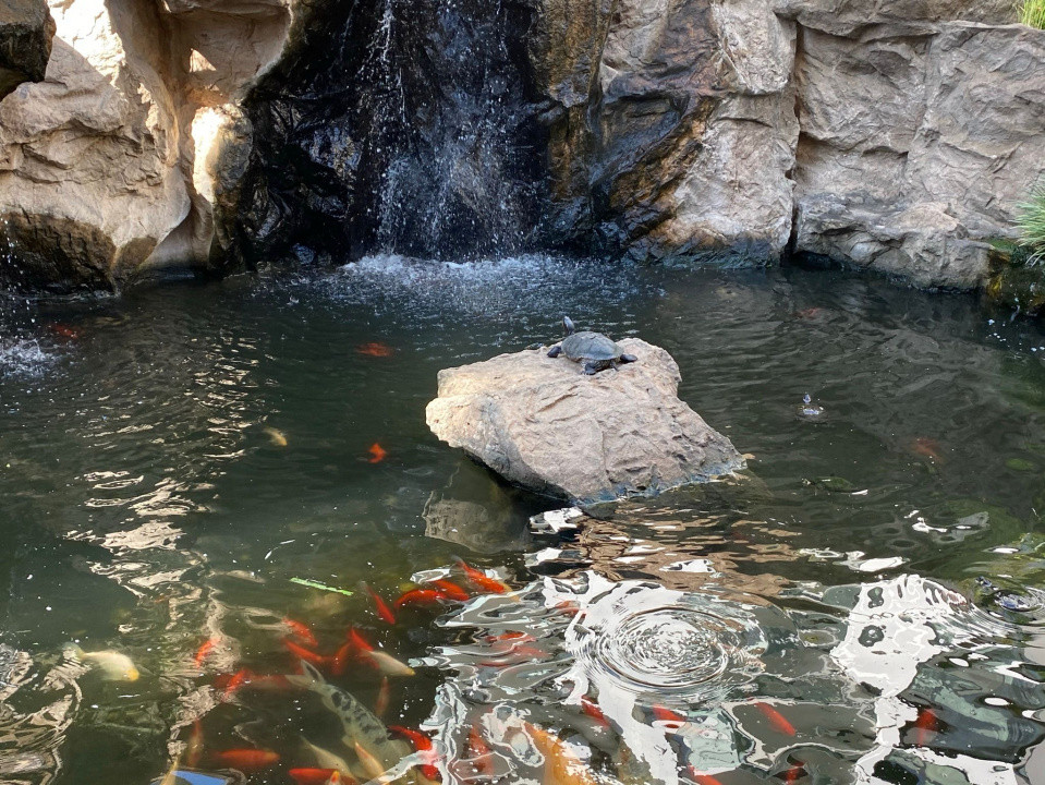  Studio Herăstrău Pet Friendly & Terasă Imensa 