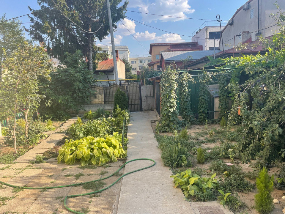 Vilă / Casă de închiriat – Aviatiei / Caramfil – ideală pentru locuință sau biro