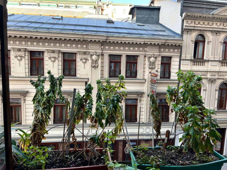 De închiriat | Apartament 2 camere | CALEA VICTORIEI