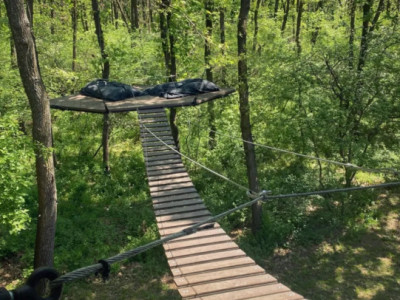 Casă la Pădure de Închiriat – Moara Vlăsiei | 1.600 € / lună