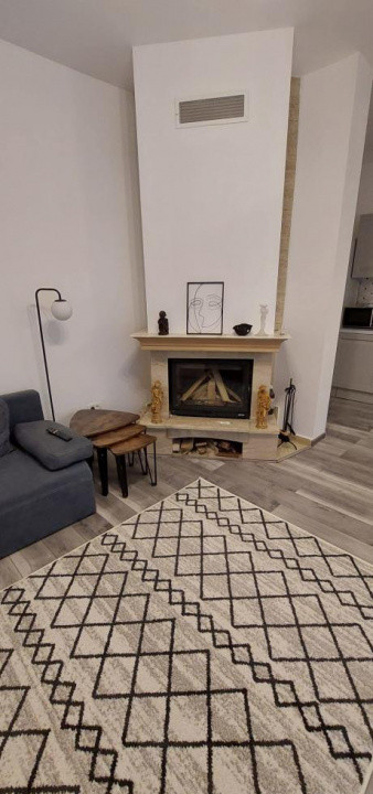 De inchiriat casa cu 2 camere in Aviatorilor-metrou