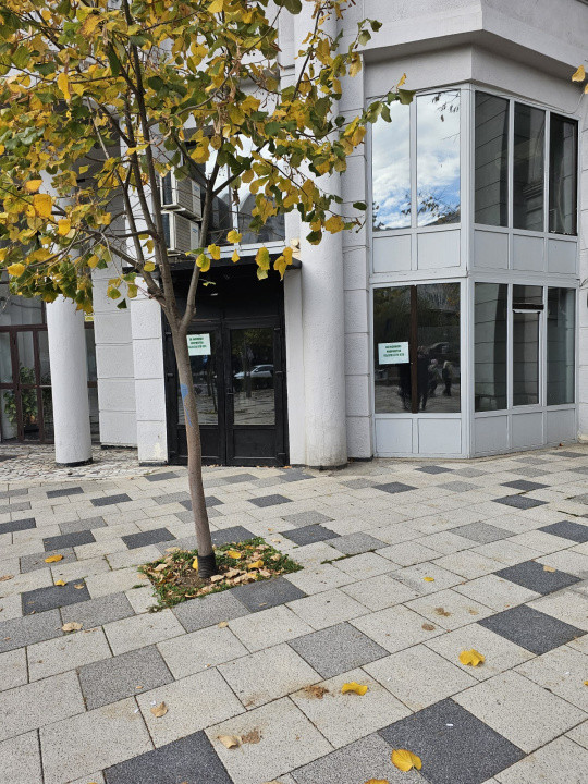 Spatiu comercial stradal - 96mp - zona - Decebal