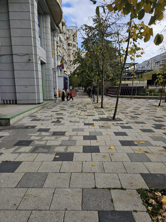 Spatiu comercial stradal - 96mp - zona - Decebal