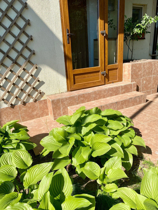 Vilă 3 camere de închiriat  Pipera, Voluntari